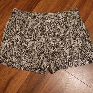 Ann Taylor Loft shorts
